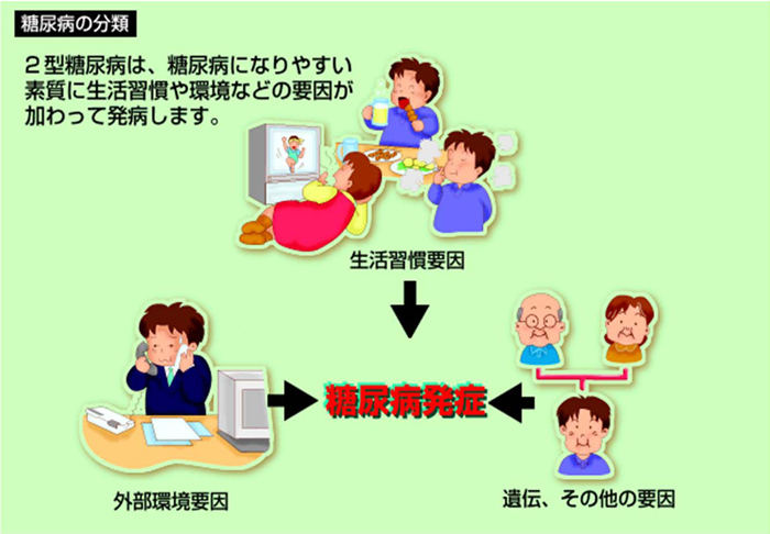 2型糖尿病は、糖尿病になりやすい素質に生活習慣や環境などの要因が加わって発病します。